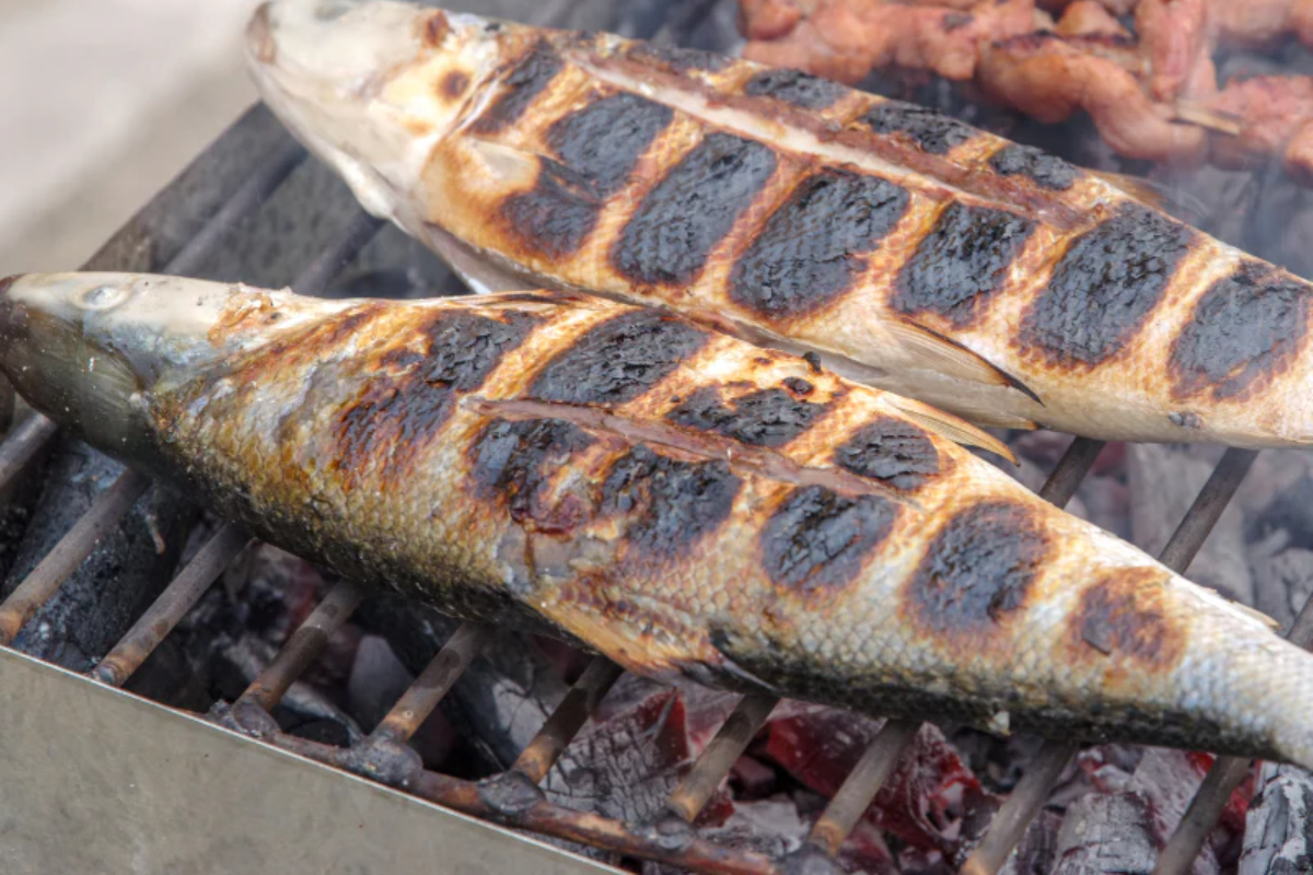 Grilled Bangus