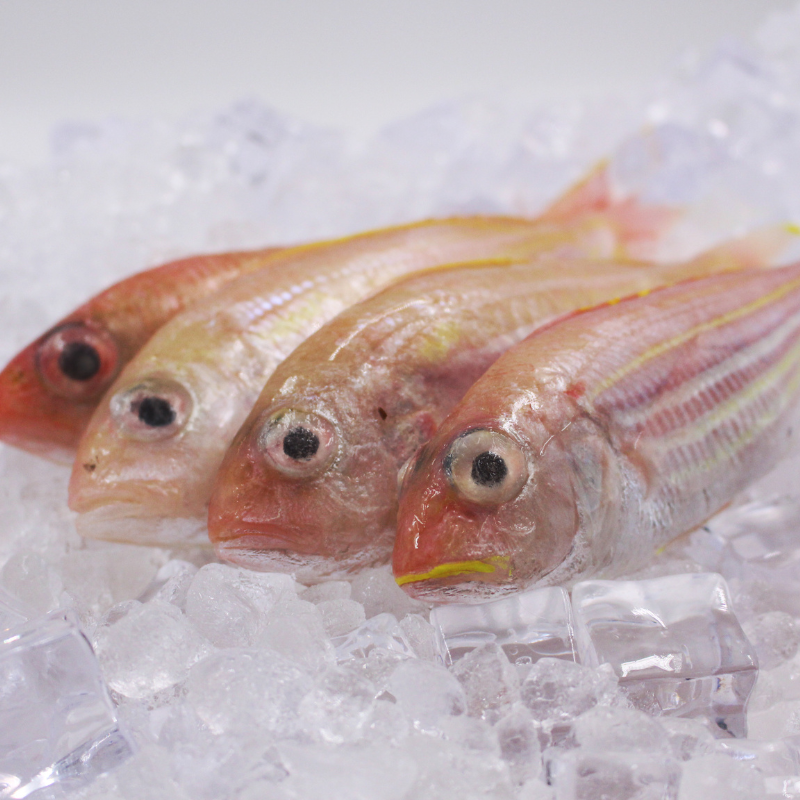 [PRE-ORDER] Fresh Chilled Bisugo (Threadfin Beam)