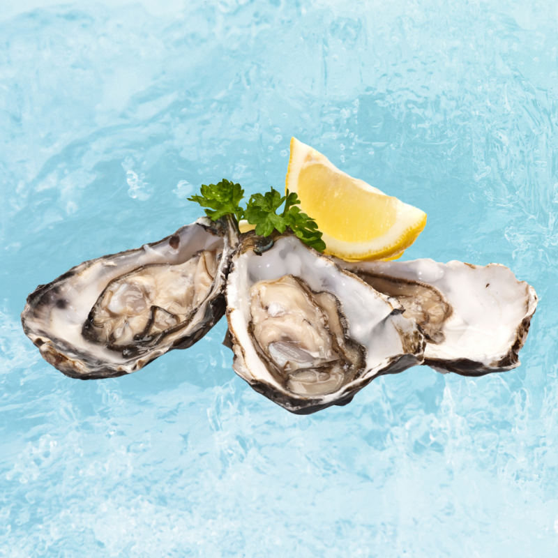 Hokkaido Whole Oysters [PRE-ORDER]