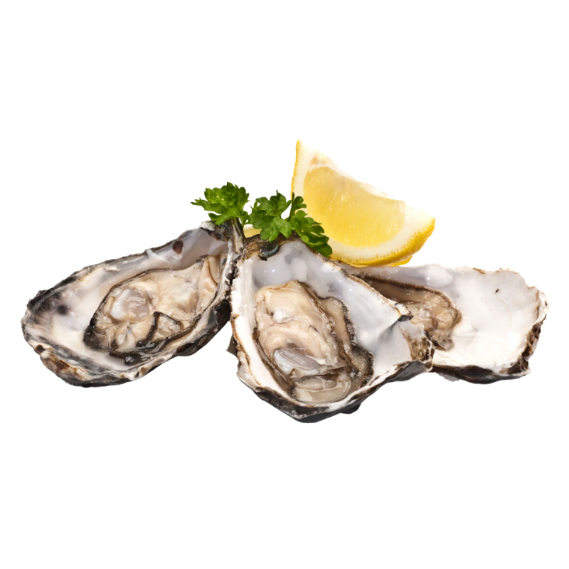 Hokkaido Whole Oysters [PRE-ORDER]