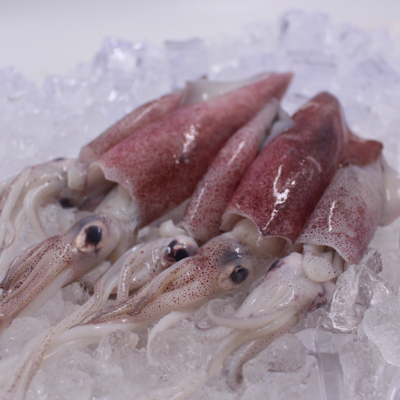 [PRE-ORDER] Fresh Chilled Pusit Bisaya (Local Squid)