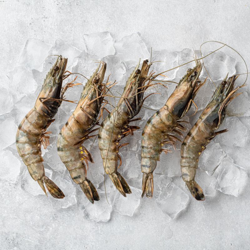 [PRE-ORDER] Fresh Chilled Sugpo (Tiger Prawn)